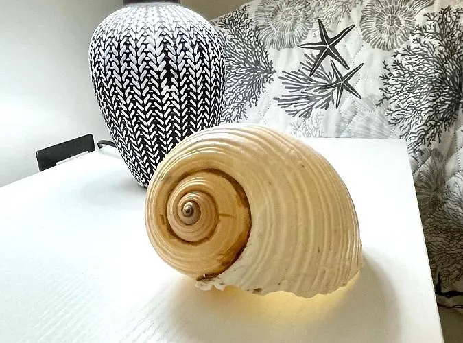 Maison De Marie Daire *